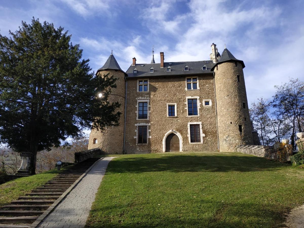 Appartement Chateau Uriage-Chamrousse Saint-Martin-dʼUriage Eksteriør billede